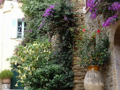 183 D23 BORMES LES MIMOSAS 1_000031